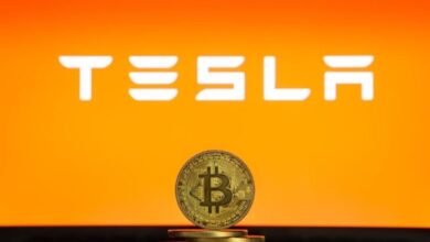 tesla is the only top tech stock to outperform bitcoin in the last 5 years 768x512 1
