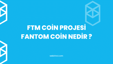 ftm-coin-nedir