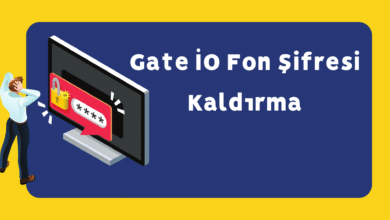 Gate IO Fon Sifresi Kaldirma