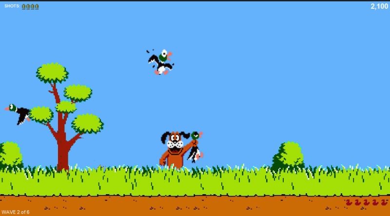 duck hunt