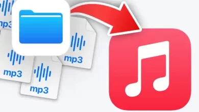 iphone muzik indirme